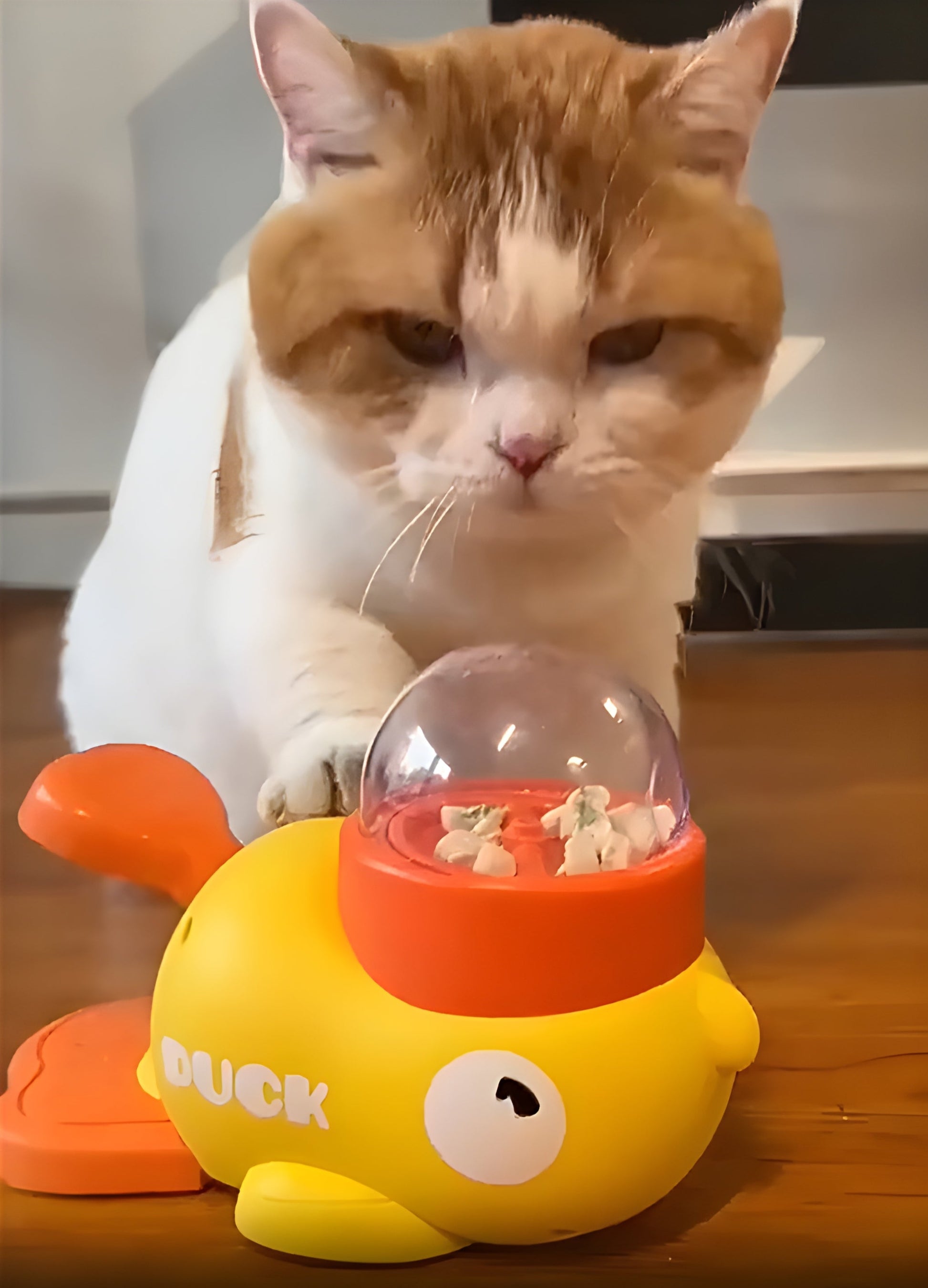 Cat Toy & Automatic Feeder – Interactive Pet Treat Dispenser for Cats & Dogs | Smart Food Training Toy